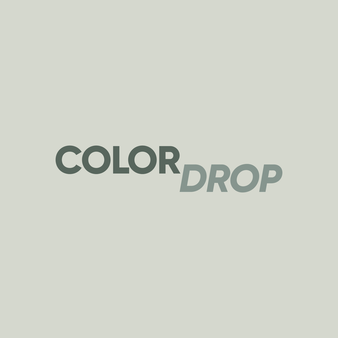 Owala Water Bottle - FreeSip Sway